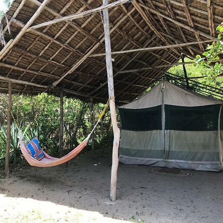Peponi Beach Resort Pangani Zewnętrze zdjęcie