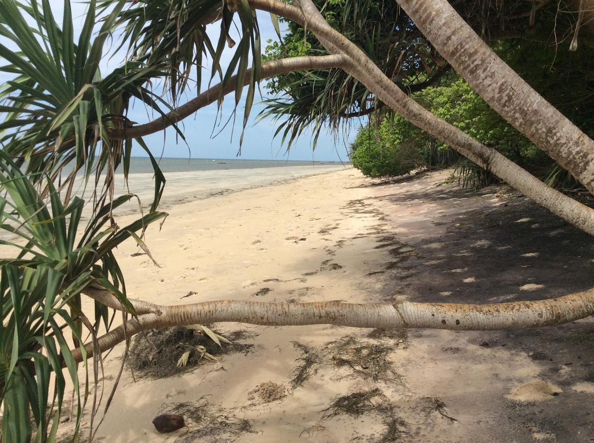Peponi Beach Resort Pangani Zewnętrze zdjęcie