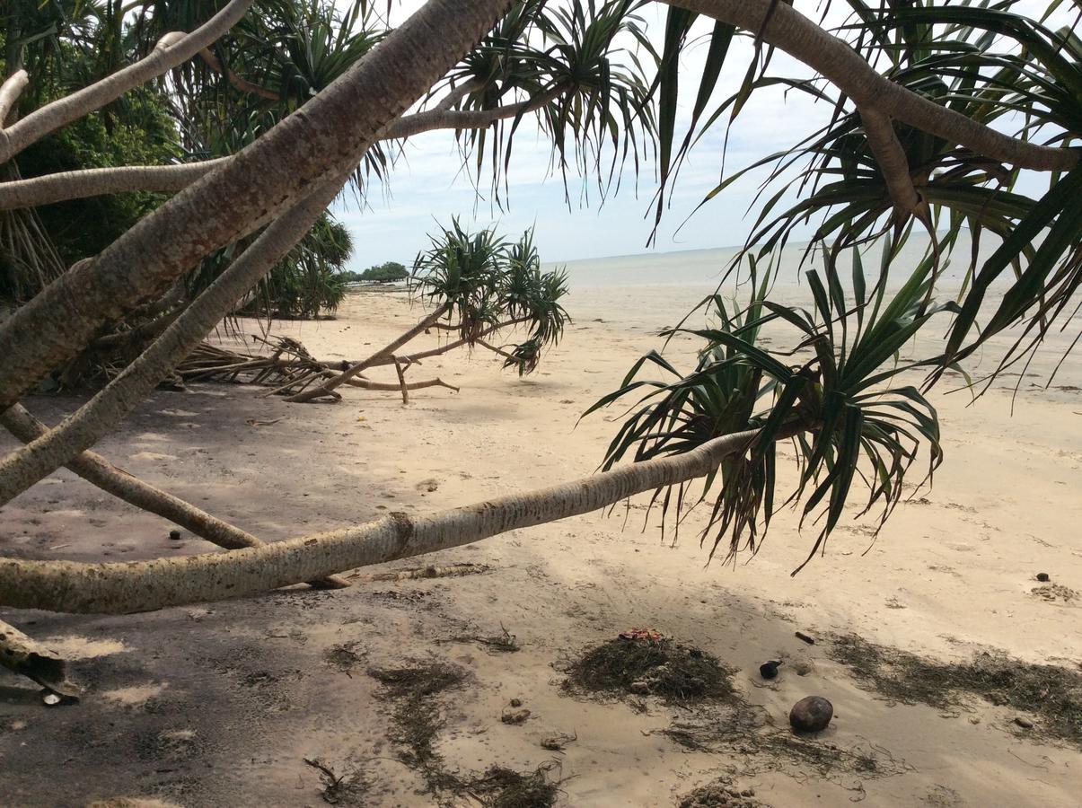 Peponi Beach Resort Pangani Zewnętrze zdjęcie