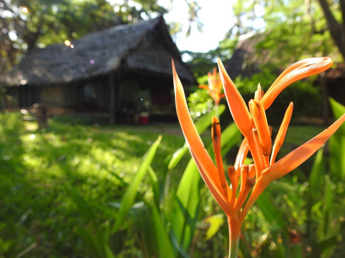 Peponi Beach Resort Pangani Zewnętrze zdjęcie