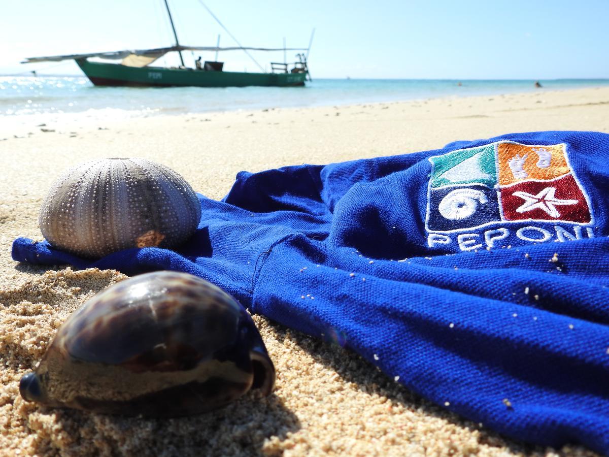 Peponi Beach Resort Pangani Zewnętrze zdjęcie