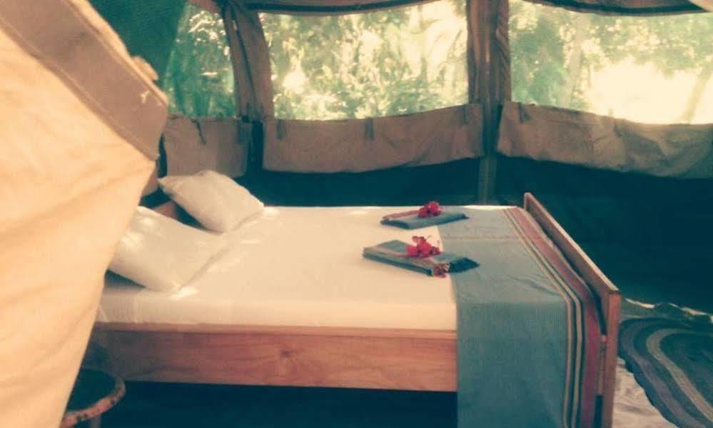 Peponi Beach Resort Pangani Zewnętrze zdjęcie
